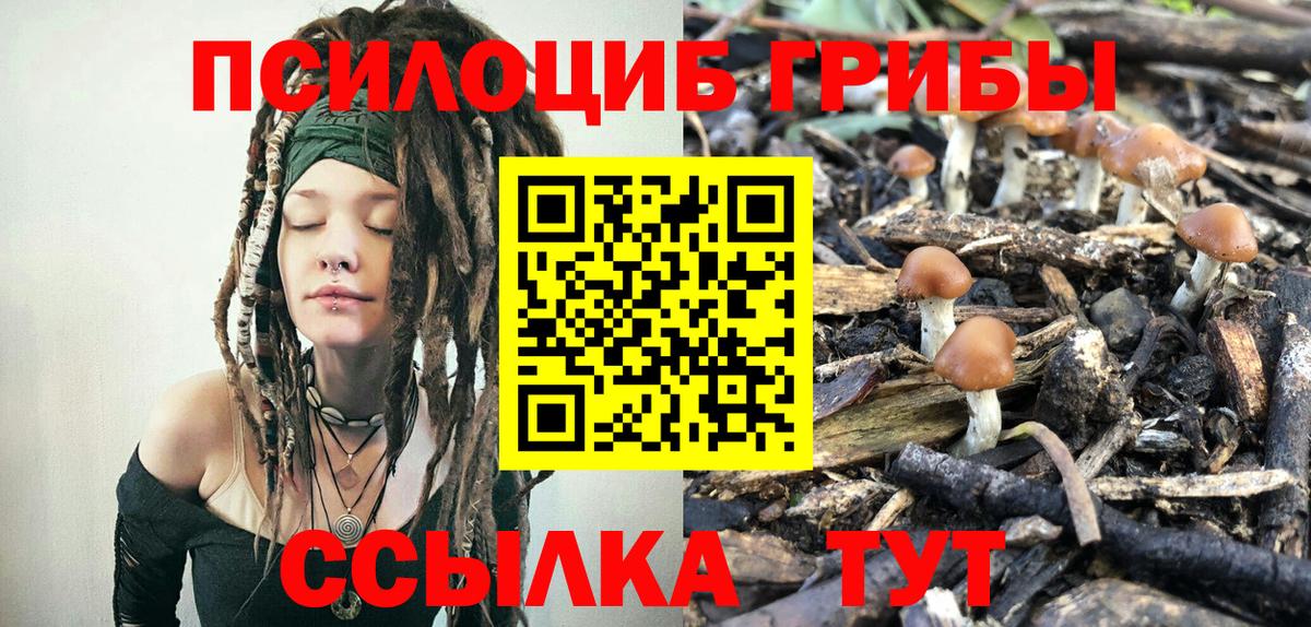Псилоцибиновые грибы Psilocybine cubensis Изобильный